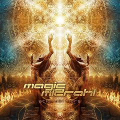 Magic Mizrahi – Acid Warriors (2018)