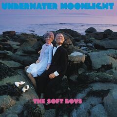 The Soft Boys – Underwater Moonlight (Deluxe Edition) (2023)