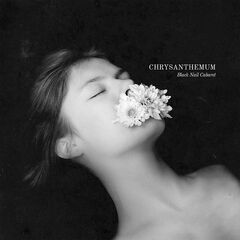 Black Nail Cabaret – Chrysanthemum (2024)